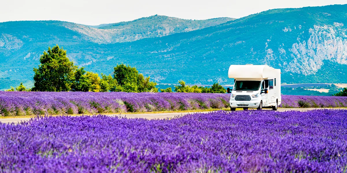 DFDS Caravan and Motorhome Offers