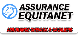 assurance cheval