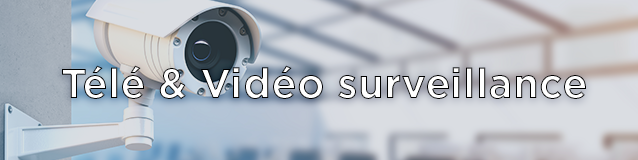 Télésurveillance et vidéosurveillance
