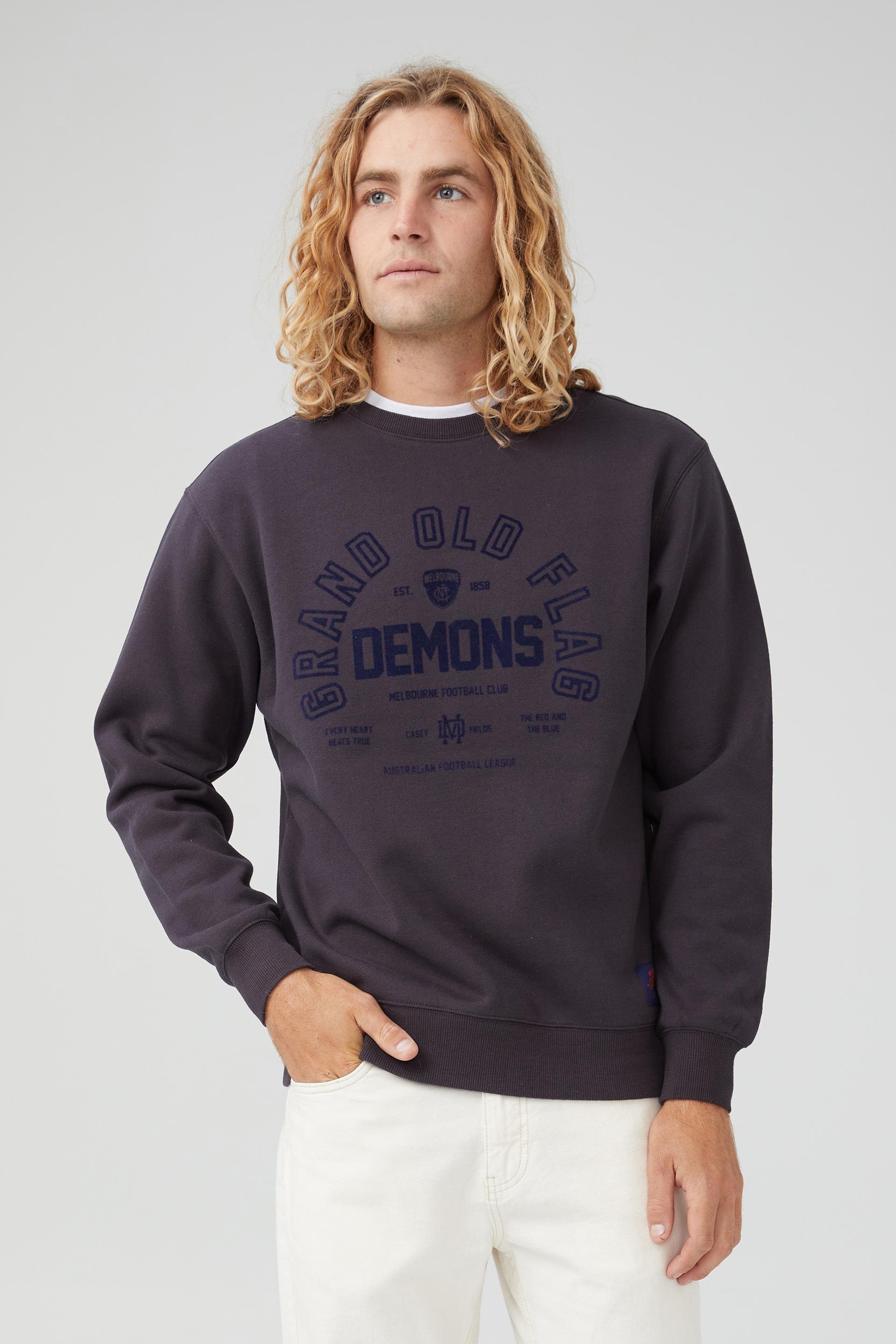 AFL Demons Vintage Hood