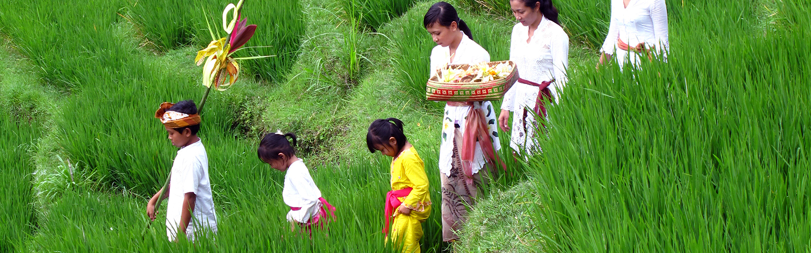 Bali natur og landskab