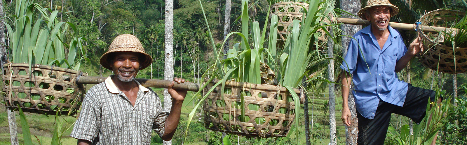 Travel2Bali – rejser til Bali