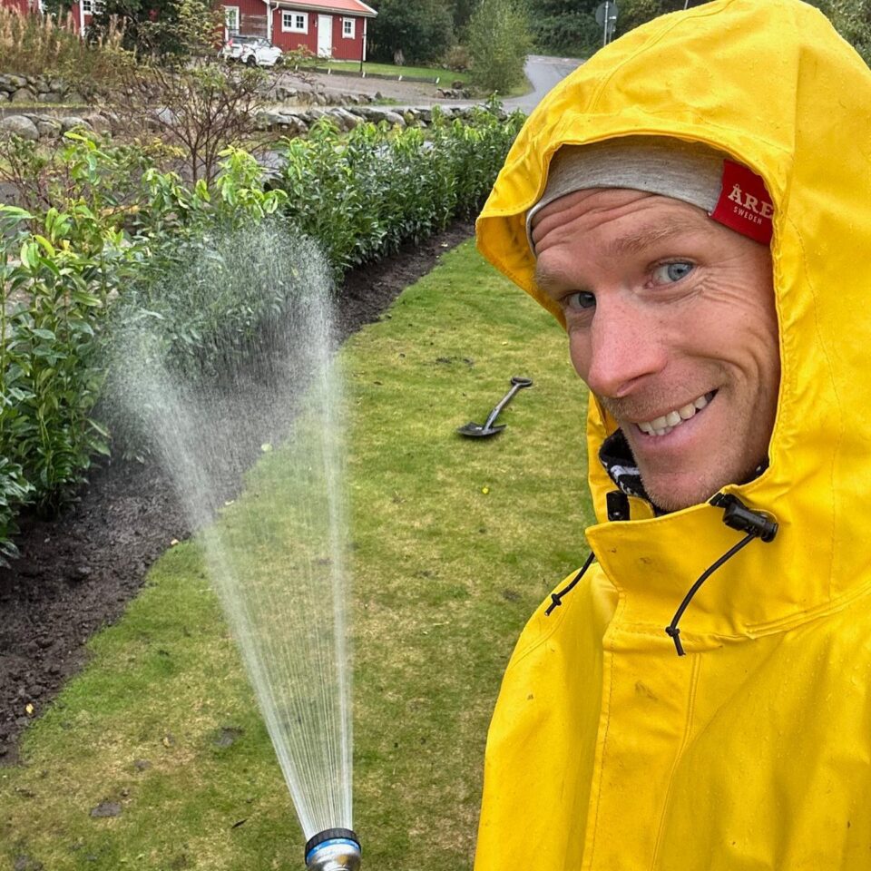 Närbild på en häckplanta