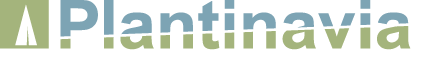 Plantinavia Logo