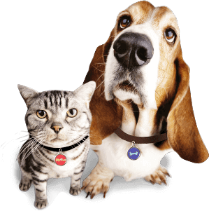 Pet-tags