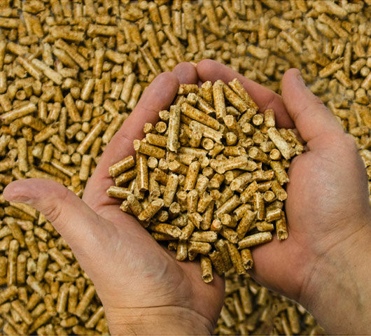 Houtpellets