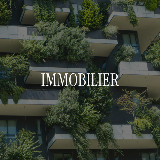 Projets Immobiliers WiSEED