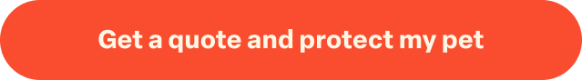 Get a Pet Insurance Quote