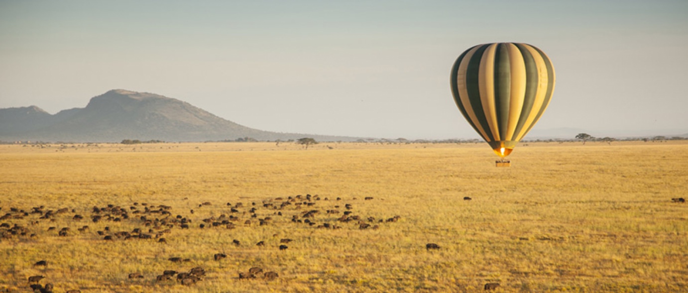 The Serengeti