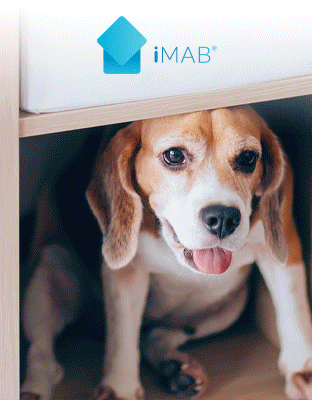 iMAB Banner Image
