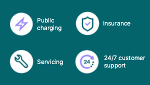 Public charging, Insurance, Service and 24/7 Customer support