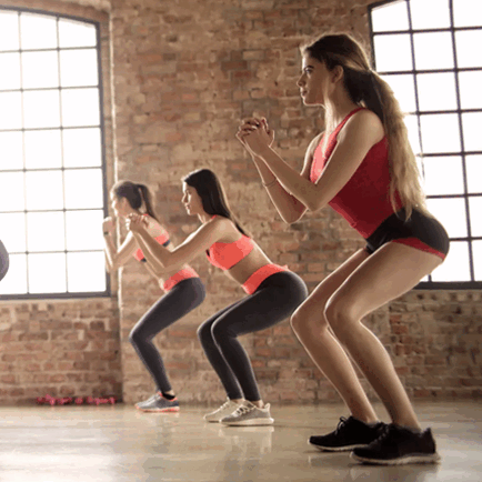 fitdegree