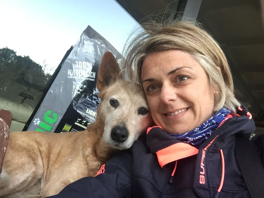Galasturhunde y Kattie
