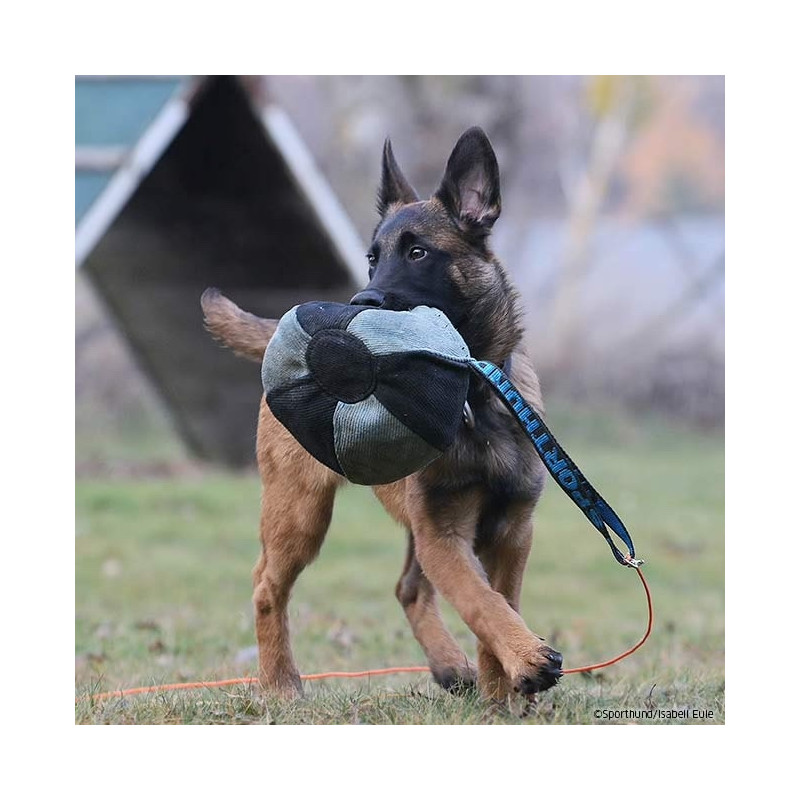 Material profesional Galasturhunde