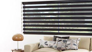 Day Night Enlight blinds