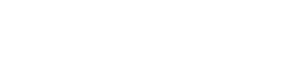 Divi Life Logo