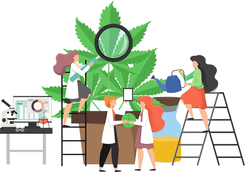 cbd-flower