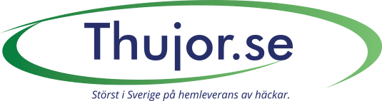 Thuja smaragd från thujor.se