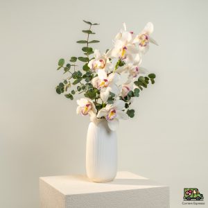 Ramo d'Orchidea Cymbidium