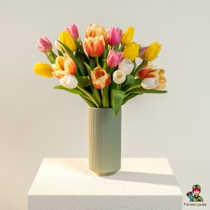 Tulipani multicolore