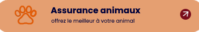 Assurance animaux