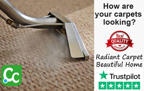 CarpetCleaning.website ltd