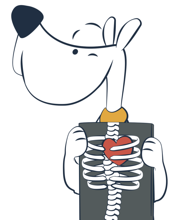 Seguro Veterinario Miwuki