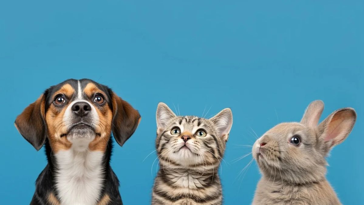 Familia con su mascota