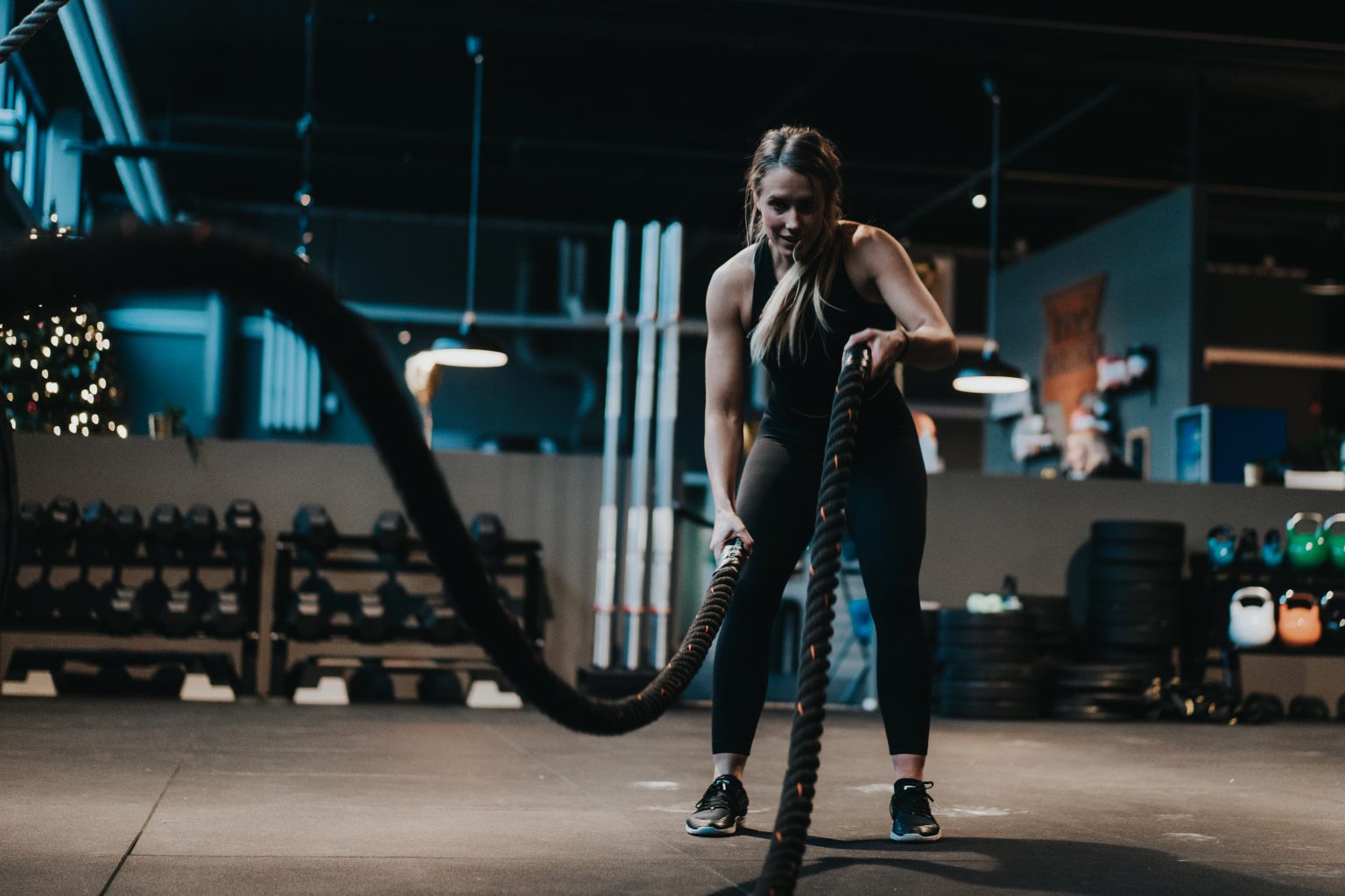 Beskrivning av bilden