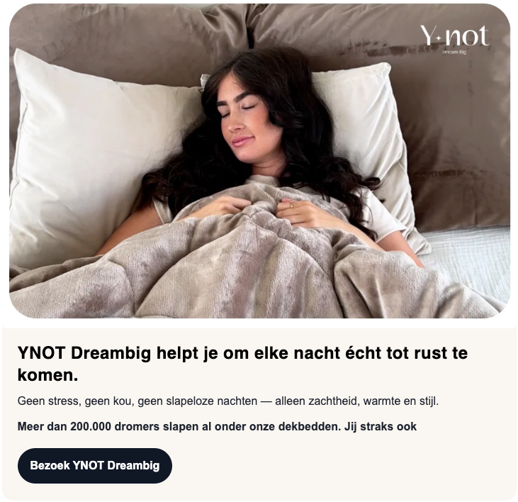 YNOT Dreambig homepage banner