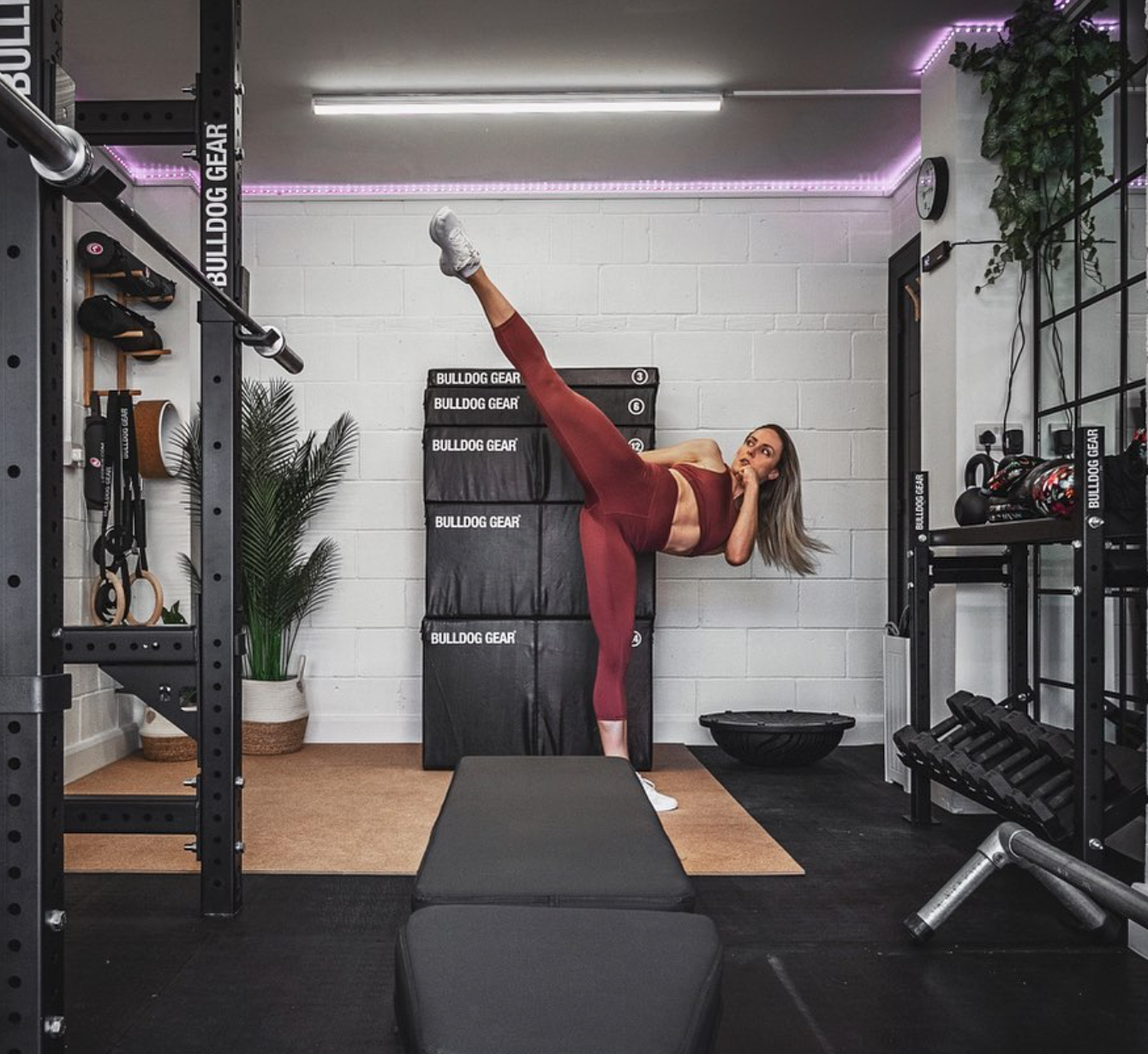 Bulldog gear discount gym