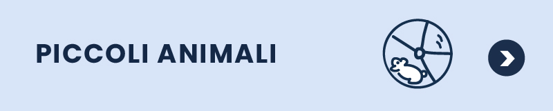 piccoli animali