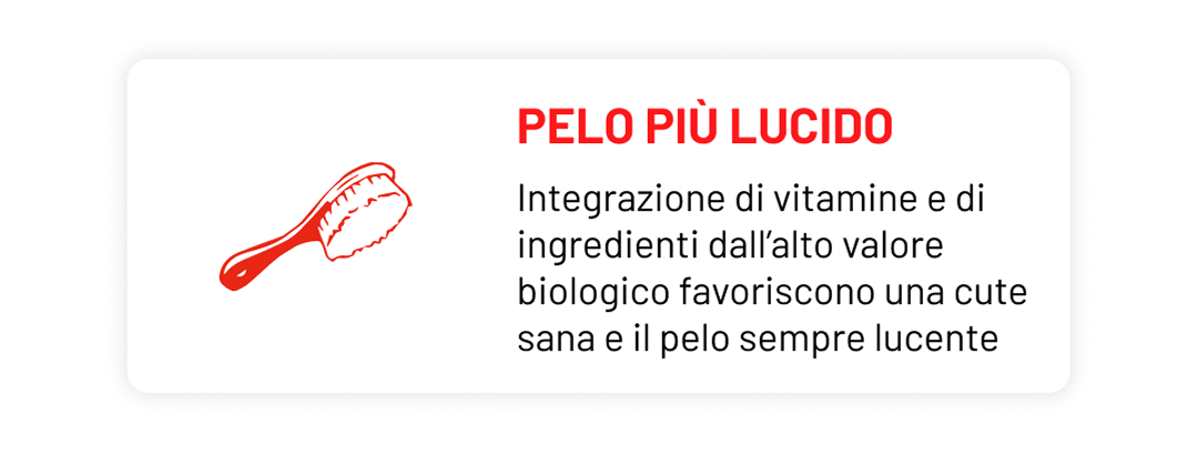 Pelo più lucido | Integrazione di vitamine e di ingredienti dall'alto valore biologico favoriscono una cute sana e il pelo sempre lucente