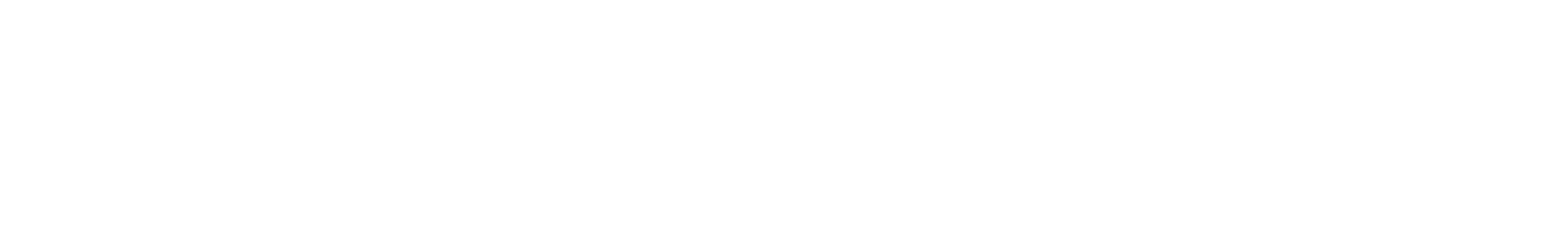 Padel USA Logo