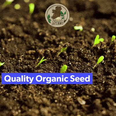 Seeds-Ireland-Gif-1