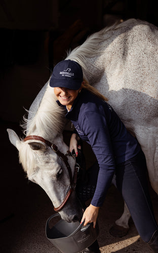 Premium horse supplements and nutrition