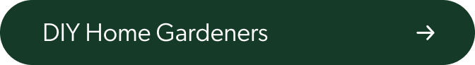 Image header