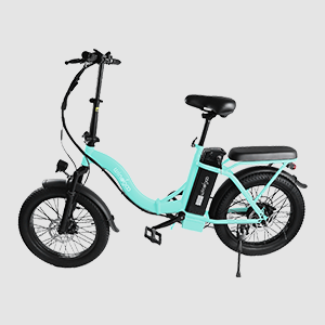 Windgoo-e20-lichtpaarse E-Bike