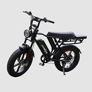 Windgoo-F20 E-Bike