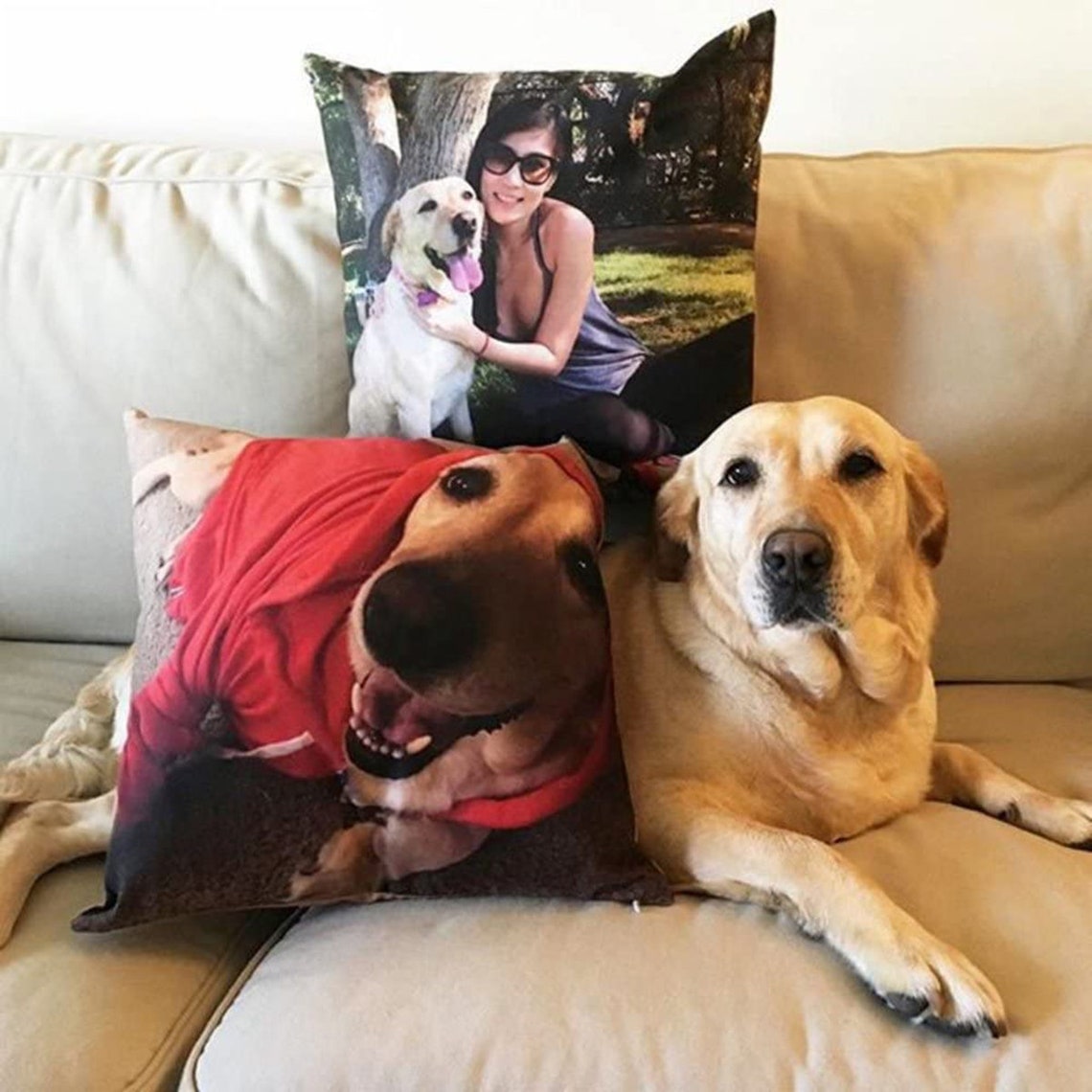 Cocoandbark