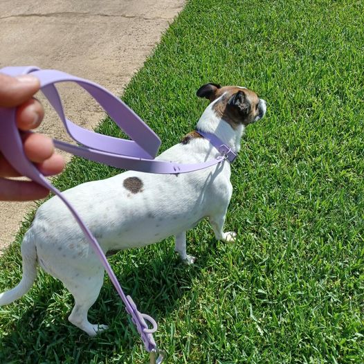 Coco & Bark Reviews Read Customer Service Reviews of