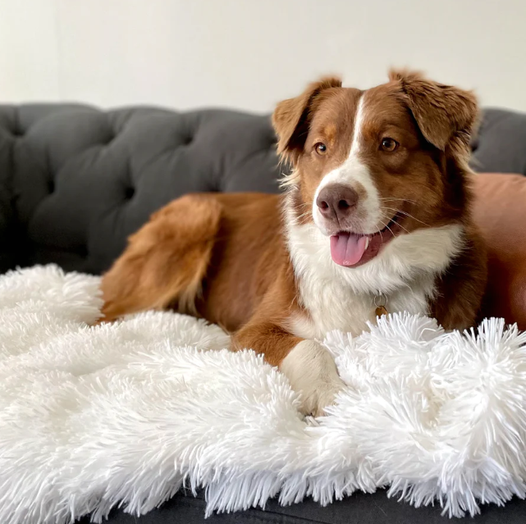 Cocoandbark