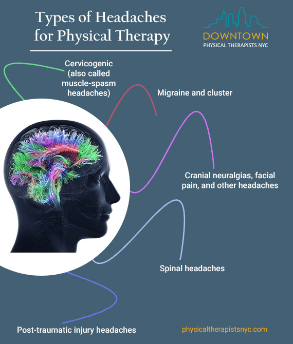 Physical Therapists NYC 10 Physical Therapists NYC 80 Maiden Ln, # 905C, New York, NY 10038 (212) 386-7979 145 Henry St, Suit 1G, Brooklyn, NY 11201 (718) 673-6771 https://www.physicaltherapistsnyc.com