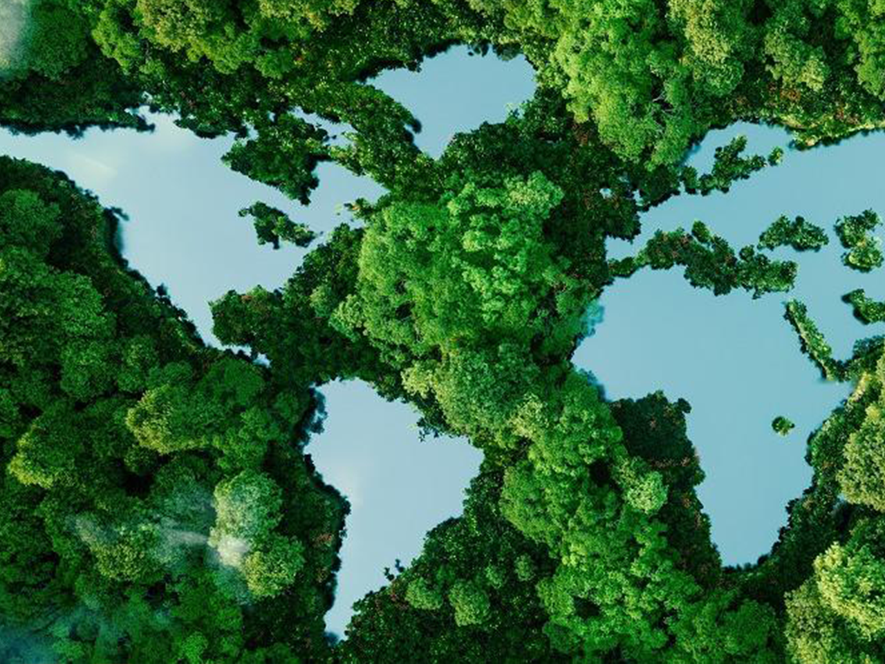 Image cafés CO2 Compensé