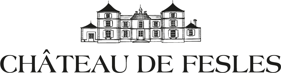 chateau-de-fesles