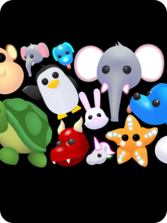 Collection