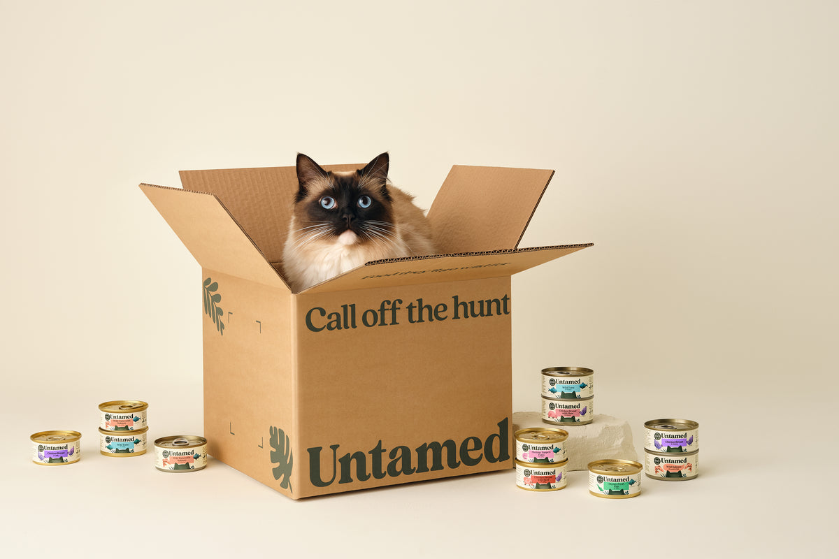 Untamed Cat Food