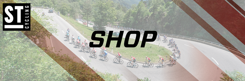 Description of Image