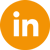 LinkedIn Icon