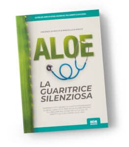 wp-image-32357 alignnone size-medium